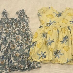 Bluey dresses 4T